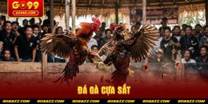 da-ga-cua-sat